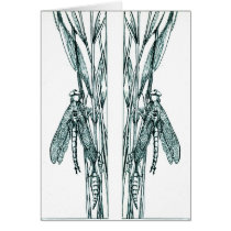 The Dragonflies Emerge cards by ZephyrusBooks The Dragonflies Emerge cards