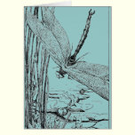 The Dragonfly in Flight cards