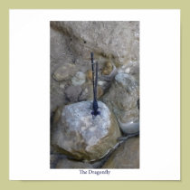 The Dragonfly posters