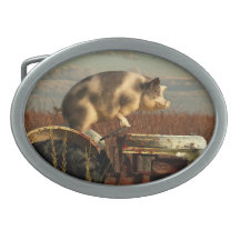 The Dream of a Pig Belt Buckles