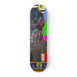 The Dream of Reality Skate Board Decks