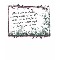 The dream t-shirts