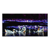The Dreaming Lake photo cards by laureenr The Dreaming Lake photo cards