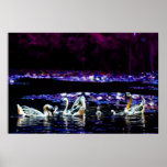 The Dreaming Lake posters