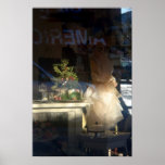 "The Dress" Photography Print