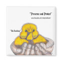 The Duckling magnets