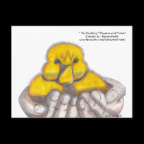 " The Duckling " Postcard