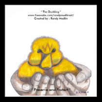 " The Duckling " Poster posters