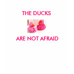 THE DUCKS ARE NOT AFRAID T-Shirt