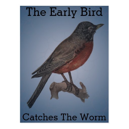 learn-english-idioms-the-early-bird-gets-the-worm-international-bears