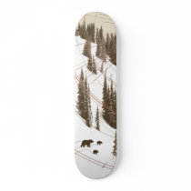 The Early Thaw Custom Skateboard