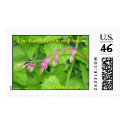 THE EARTH LAUGHS IN FLOWERS - BLEEDING HEART postage by dequilla THE EARTH LAUGHS IN FLOWERS - BLEEDING HEART postage