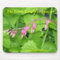 THE EARTH LAUGHS IN FLOWERS - BLEEDING HEARTS mousepads