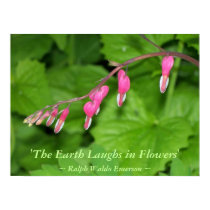 THE EARTH LAUGHS IN FLOWERS - BLEEDING HEARTS posters