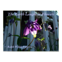 THE EARTH LAUGHS IN FLOWERS - BLUE COLUMBINE posters