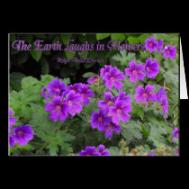 The Earth Laughs in Flowers cards