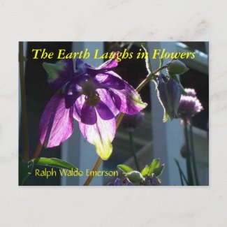 THE EARTH LAUGHS IN FLOWERS - COLUMBINE postcard