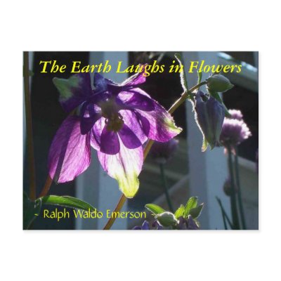 THE EARTH LAUGHS IN FLOWERS - COLUMBINE POSTCARD by dequilla