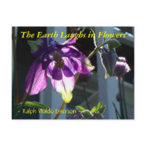 THE EARTH LAUGHS IN FLOWERS - COLUMBINE postcards