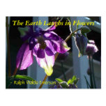 THE EARTH LAUGHS IN FLOWERS - COLUMBINE POSTCARD