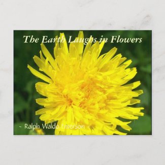 THE EARTH LAUGHS IN FLOWERS - 'DENTS DE LION' postcard