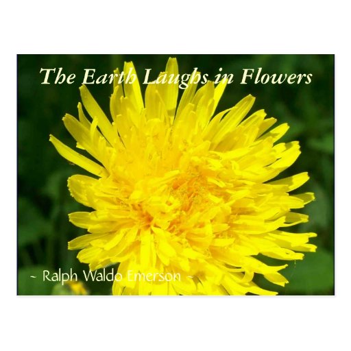 THE EARTH LAUGHS IN FLOWERS - 'DENTS DE LION' POST CARD