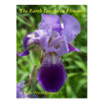 THE EARTH LAUGHS IN FLOWERS - IRIS POST CARDS