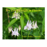 THE EARTH LAUGHS IN FLOWERS POST CARDS