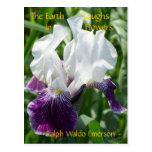 THE EARTH LAUGHS IN FLOWERS - PURPLE & WHITE IRIS POSTCARD