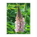 THE EARTH LAUGHS IN FLOWERS - RED LUPIN postcards by dequilla THE EARTH LAUGHS IN FLOWERS - RED LUPIN postcards