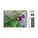 THE EARTH LAUGHS IN FLOWERS - VIOLA postage by dequilla THE EARTH LAUGHS IN FLOWERS - VIOLA postage