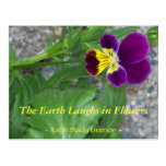 THE EARTH LAUGHS IN FLOWERS - VIOLA POSTCARDS
