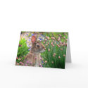 the easter bunny cards by metrogirl_paris the easter bunny cards