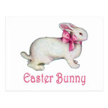 The Easter Bunny Post Card