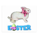 The Easter Bunny Post Card