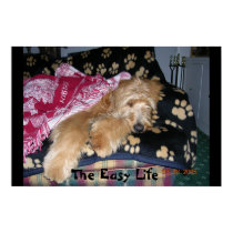 The Easy Life posters