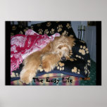 The Easy Life posters