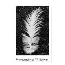 The Egret Feather by TDGallery posters by tdgallery The Egret Feather by TDGallery posters
