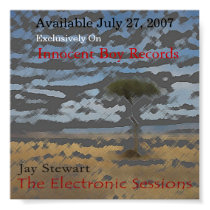 The Electronic Sessions Release Poster posters