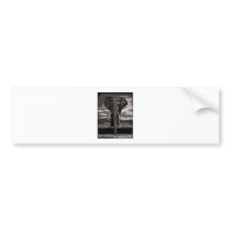 The Elephant Bumper Stickers