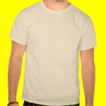 The ELEPHANT in the Room t-shirts