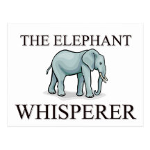 The Elephant Whisperer Postcard