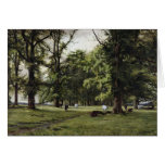 The Elm Walk cards