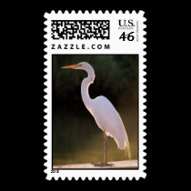 The Elusive White stamps