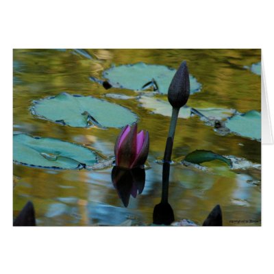 The Emergence of Beauty Greeting Card by T_Trant