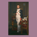 The Emperor Napoleon in His Study at the Tuilerie posters by ScienceViews The Emperor Napoleon in His Study at the Tuilerie posters