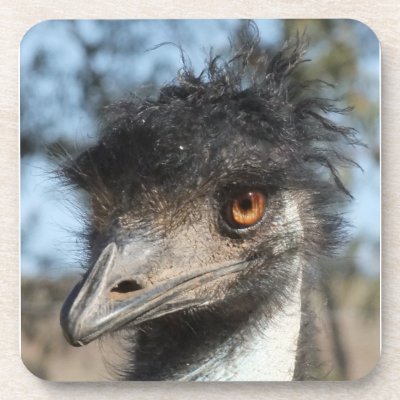 The Emu Drink Coaster