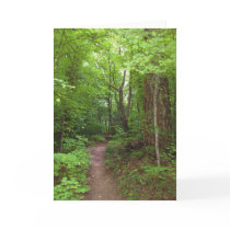 The Enchanted Forest (3) Greeting Cards