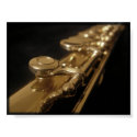The Enchanting Flute posters