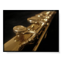 The Enchanting Flute posters